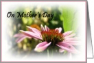 On Mother’s Day card