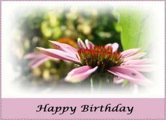 Happy Birthday (pink...