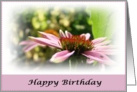 Happy Birthday (pink) card