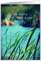 So Sorry For Your...