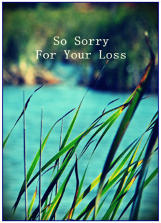 So Sorry For Your...