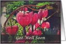 Get Well Soon card