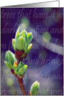 Lilac Buds-Spring Flowers and Gardens card
