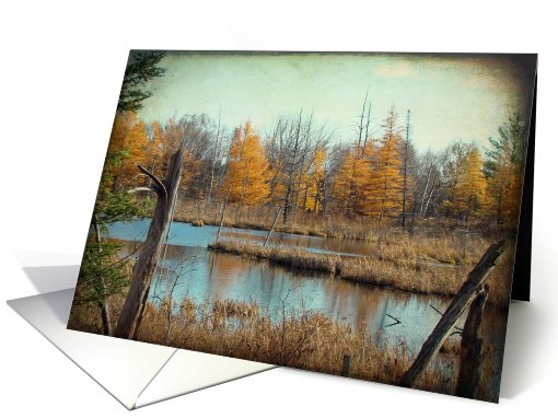 Fall Wetlands Scene- Any Occasion card (733357)