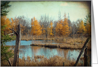 Fall Wetlands Scene- Any Occasion card