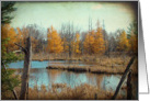 Fall Wetlands Scene- Any Occasion card