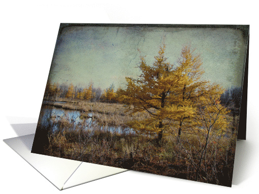 Fall Landscape- Any Occasion card (733379)