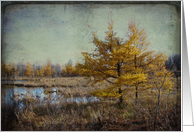 Fall Landscape- Any...