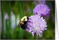 Bee On Flower- Any Occasion card