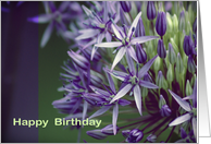 Happy Birthday- Allium card