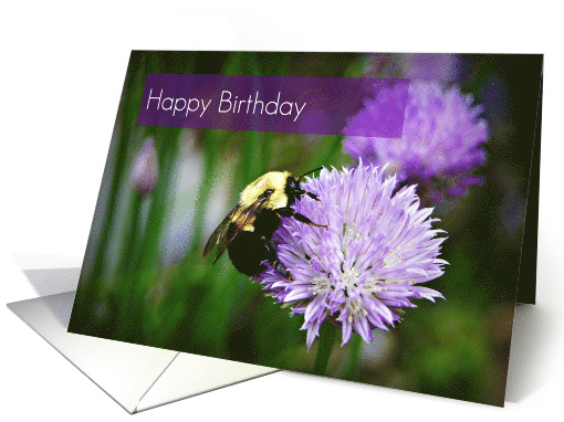 Happy Birthday-Bee On Flower card (746854)