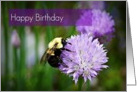 Happy Birthday-Bee On Flower card