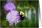 Happy Mother’s Day-Bee On Flower card