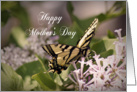 Happy Mother’s Day, butterfly on flower card