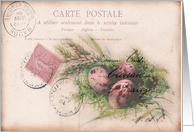 Any Occasion-Bird’s Nest and Eggs card