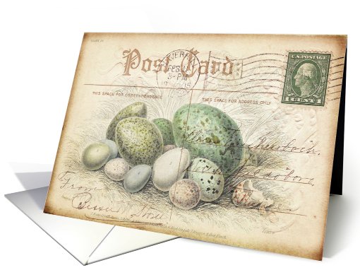 Any Occasion-Vintage Bird's Nest and Eggs card (789732)