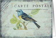 Any Occasion-Vintage Bird II card