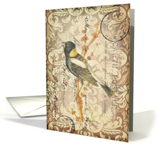 Any Occasion-Vintage Bird Postcard card (789736)