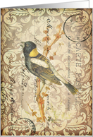 Any Occasion-Vintage Bird Postcard card