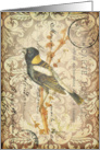 Any Occasion-Vintage Bird Postcard card