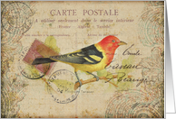Any Occasion-Vintage Bird Postcard card