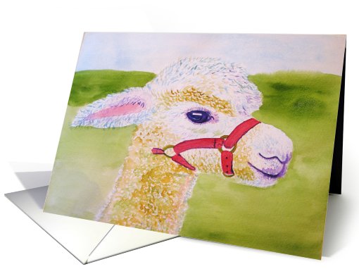 white Llama watercolor card (625406)