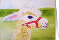 white Llama watercolor card