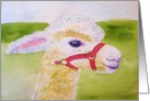white Llama watercolor card