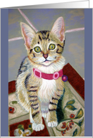 Kitten in the kitchen card