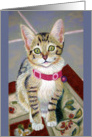 Kitten in the kitchen card