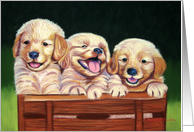 Yellow Lab Puppys card
