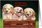 Get Well Soon Granddaughter with puppy’s card