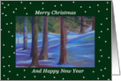 Merry Christmas And Happy New Year with snow scene card