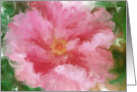 Pink hibiscus card
