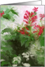 flowers and mist card