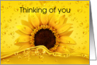 Thinking of you Sunflower card