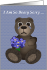 Beary Sorry Teddy Bear card