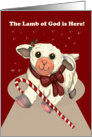 Lamb of God Christmas Card