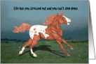 Running Wild Appaloosa Stressed Out Horse Encouragement card