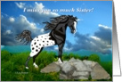 Black Appaloosa Horse Miss You Sister card