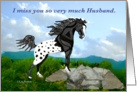 Black Appaloosa Horse Miss You Husband card