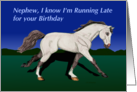 Cantering Connemara Pony Nephew Belated Birthday Card