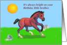 Bay Horse Colt Little Brother Birthday card