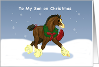 Christmas for Son Clydesdale Horse Colt card