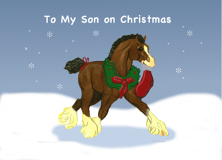 Christmas for Son...