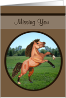 Missing You Prancing...