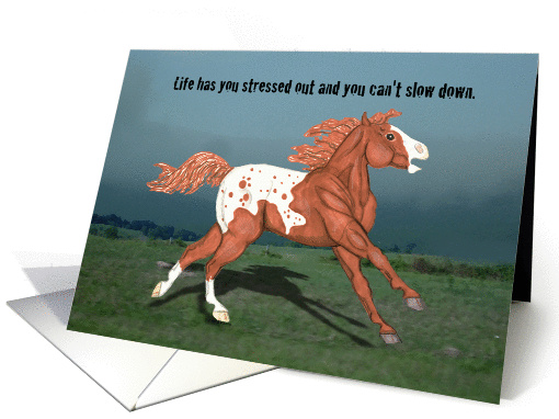 Running Wild Appaloosa Stressed Out Horse Encouragement card (1126264)