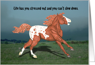 Running Wild Appaloosa Stressed Out Horse Encouragement card