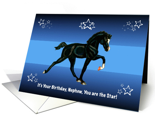 You are the Star, Nephew Birthday with Horse Colt card (1131686)