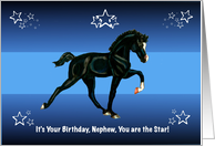 You are the Star, Nephew Birthday with Horse Colt card